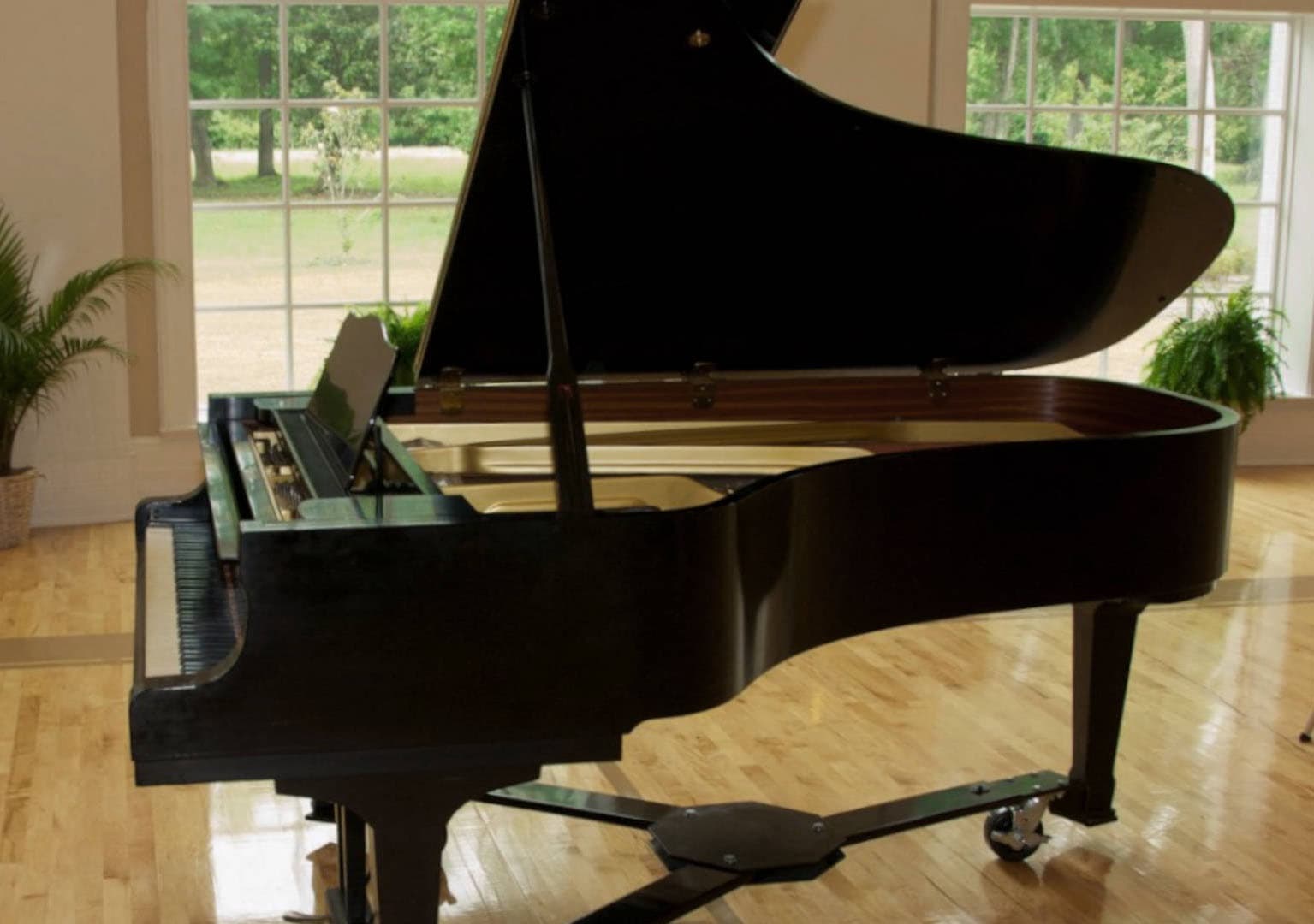 Piano Salamander Yamaha C5 image as background from  by Alexander Holm & Chisato Yamauchi